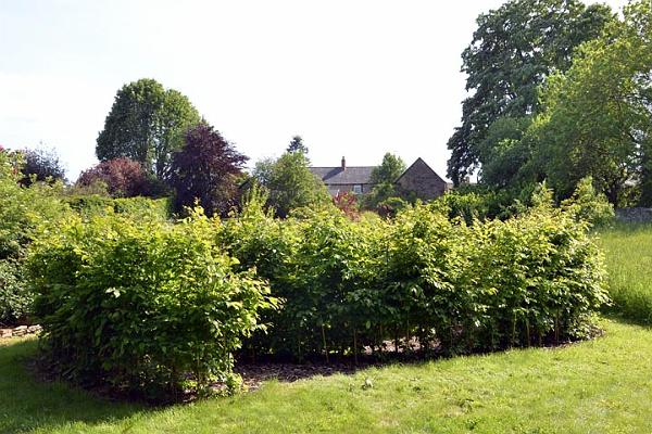 20. Grange Cottage.jpg